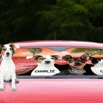 Personligt 1-3 djurporträtt strandstil bil vindruta solskydd med namn auto tillbehör resor födelsedagspresent för katt hund husdjursälskare