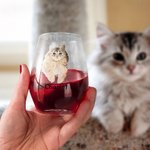 Personalized Hand Painted Pet Portrait Stemless Short Stemmed Wine Glass with Name Home Entertaining Bar Glassware Gift for Cat Dog Pet Lover