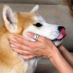 Personalized Paw Print Adjustable Hammered Ring with Name and Text Memorial Pet Loss Gift for Cat Dog Pet Lovers