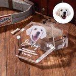 Scatola commemorativa personalizzata con ali d'angelo per cani, gatti e pellicce magnetiche, con foto e nome, regalo per i proprietari di animali dome