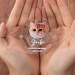Scatola commemorativa personalizzata con ali d'angelo per cani, gatti e pellicce magnetiche, con foto e nome, regalo per i proprietari di animali dome