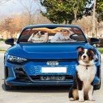 Personalized Photo Car Windshield Sunshade with Name and Suction Cup Auto Accessories Outdoor Activities Gift for Cat Dog Pet Lovers Campers