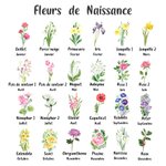 Poche de Cahier en Cuir Personnalisée avec Nom et Fleur de Naissance Carnet Offert Accessoires de Voyage Cadeau Anniversaire pour Amoureux du Voyage