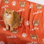 Personalized Multicolor Soft Fleece Paw Icon Blanket with 1-3 Photos Birthday Gift for Pet Lover