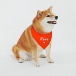 Personligt färgglatt justerbart hundbandana med text Alla hjärtans dag för hund