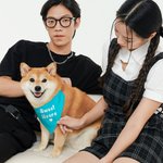 Personligt färgglatt justerbart hundbandana med text Alla hjärtans dag för hund