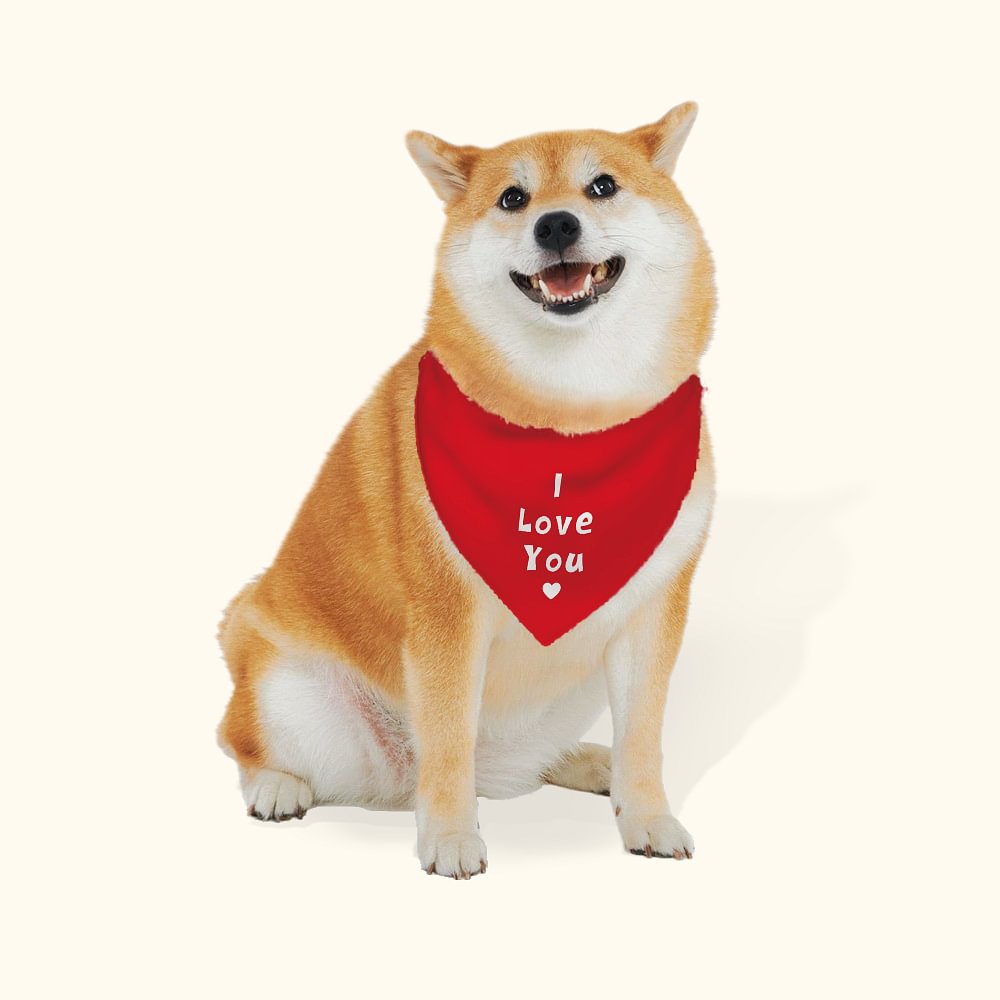 Bandana réglable coloré personnalisé avec texte Saint-Valentin pour chien
