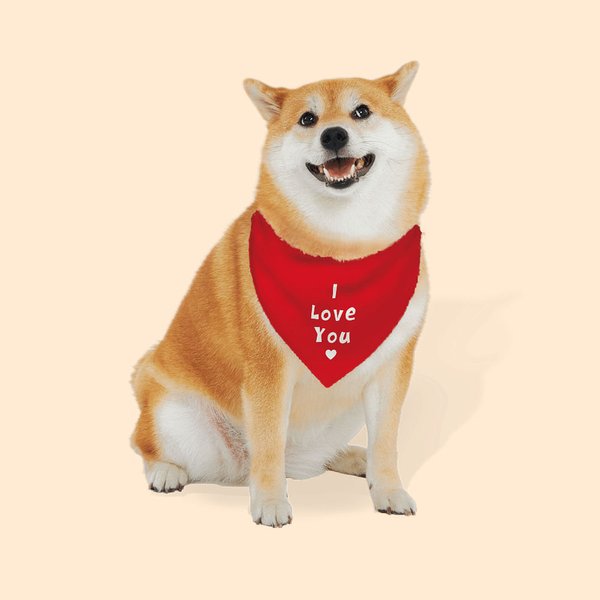 Colorful Adjustable Dog Bandana Valentine's Day