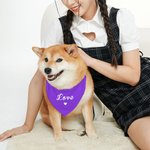Personligt färgglatt justerbart hundbandana med text Alla hjärtans dag för hund
