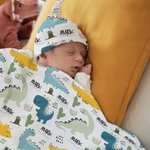 Personalized Cute Dinosaur Soft Swaddle Blanket and Knot Hat Set with Name Birthday Baby Shower Gift for Newborns Baby Boy