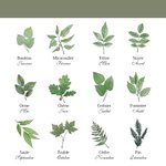 Couverture Personnalisée avec Noms Date Fleur et Feuille de Naissance Décoration de Maison Cadeau Anniversaire Mariage pour Couple