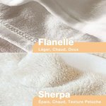 Couverture Personnalisée avec Titre 1-3 Chats Chiens et Noms Petits Coquins Cadeau Anniversaire Noël pour Famille Amoureux des Animaux de Compagnie