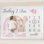Personalized Cute Rainbow Giraffe Monthly Milestone Throw Blanket with Name Nursery Decor Photo Prop Baby Shower Birthday Gift for Baby Boys Girls