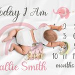 Personalized Cute Rainbow Giraffe Monthly Milestone Throw Blanket with Name Nursery Decor Photo Prop Baby Shower Birthday Gift for Baby Boys Girls