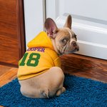 Personnalisé Multicolore Nom Numéro Chien Chaud Soft Hoodie Jersey pour Toutes Races Mignon Pet Game Day Party Costume Festival Birthday Gift