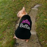 Cadeau d'anniversaire personnalisé pour chien avec couronne floquée et nom pailleté pour toutes les races d'animaux de compagnie.