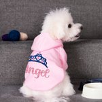 Cadeau d'anniversaire personnalisé pour chien avec couronne floquée et nom pailleté pour toutes les races d'animaux de compagnie.