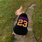 Personnalisé Multicolore Nom Numéro Chien Chaud Soft Hoodie Jersey pour Toutes Races Mignon Pet Game Day Party Costume Festival Birthday Gift