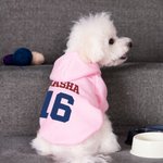 Personnalisé Multicolore Nom Numéro Chien Chaud Soft Hoodie Jersey pour Toutes Races Mignon Pet Game Day Party Costume Festival Birthday Gift