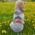 Cadeau d'anniversaire personnalisé pour chien avec couronne floquée et nom pailleté pour toutes les races d'animaux de compagnie.