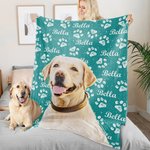 Personalized Imitation Oil Painting Effect Pet Photo Paw Print Soft Throw Blanket with Name Christmas Home Decoration Gift for Pet Cat Dog Lover