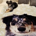 Personalized Imitation Oil Painting Effect Pet Photo Paw Print Soft Throw Blanket with Name Christmas Home Decoration Gift for Pet Cat Dog Lover