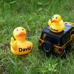 Personalized Double Middle Finger Duck with Text Desktop Decoration Interesting Car Accessory Gift for Friend Colleague