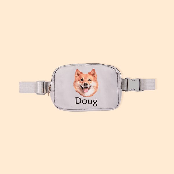 Bolsa de cintura impermeable personalizada para perro gato avatar con nombre y correa ajustable Regalo diario de cumpleaños para los amantes de las ma