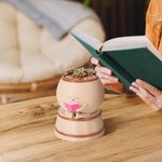 Personalised Cute Pot Reading Book Planter with Name Home Decor Birthday Housewarming Gift for Bookworm Plant Lover