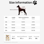 Personalised Multicolour Tie-dyed 100% Cotton Dog Pet Shirt Clothes with Name Pet Gathering Dog Walking Gift for Pet Lovers