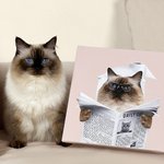 Peinture murale personnalisée chien chat lisant le journal sur les toilettes Portrait d'animal de compagnie Décoration de salle de bain Cadeau de pendaison de crémaillère pour les propriétaires d'anim