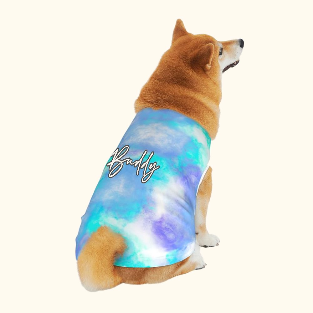 Chemise personnalisée multicolore en coton avec nom pour chien Cadeau de promenade pour les amoureux des animaux de compagnie