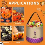 Personalized Cute Raccoon Ghost Peter Rabbit Plaid Trick or Treat Bag Candy Bucket with Name Halloween Party Favors for Boys Girls