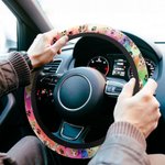 Personlig portrett av hund og katt med slipsfarget rattbeskyttende deksel Biltilbehør Gave til sjåføren som elsker kjæledyr