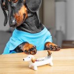 Personalized Funny Dachshund Dog Ceramic Trinket Ring Jewelry Holder with Name Birthday Wedding Bridal Shower Gift for Dachshund Lovers