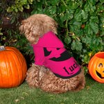 Costume Personalizzato per Cucciolo con Faccia di Zucca Morbido e Caldo con Cappuccio e Nome Regalo Compleanno Halloween per L'Amante Degli Animali