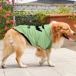 Costume Personalizzato per Cucciolo con Faccia di Zucca Morbido e Caldo con Cappuccio e Nome Regalo Compleanno Halloween per L'Amante Degli Animali