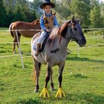 Personalisierte lustige einstellbare Satz von 2 Türkei Füße Pferd Kostüm mit Haken und Schleife Pferd Zubehör Halloween Geschenk für Pferdeliebhaber