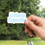 Personalised Multicolor Waterproof Vinyl Text Sticker Name Label for Laptop Notebook Water Bottle Back to School Office Gift for Women Girls