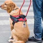 Personalized Dog Paw Bone Leather Keychain with Embroidery Name Bag Pet Waistcoat  Decoration Christmas Birthday Gift for Pet Lover