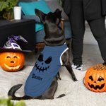 Personlig Pumpkin Face 100% bomull ärmlös hundtröja med namn Rolig husdjursdräkt Halloweenpresent för husdjursälskare Ägare