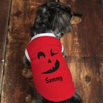 Personlig Pumpkin Face 100% bomull ärmlös hundtröja med namn Rolig husdjursdräkt Halloweenpresent för husdjursälskare Ägare