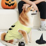 Personlig Pumpkin Face 100% bomull ärmlös hundtröja med namn Rolig husdjursdräkt Halloweenpresent för husdjursälskare Ägare
