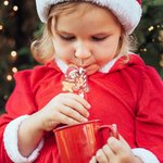 Personalisierte Weihnachtsmann Elch Foto Stroh Topper Zubehör für Stanley Tumbler Cup Party Favorit Weihnachtsgeschenk für Familie Freund