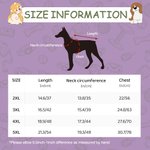 Personlig Pumpkin Face 100% bomull ärmlös hundtröja med namn Rolig husdjursdräkt Halloweenpresent för husdjursälskare Ägare