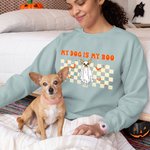 Henkilökohtainen My Dog Is My Boo 1-4 Dog Kurpitsa Funny Sweatshirt nimi Halloween syntymäpäivälahja lemmikkieläinten ystävälle
