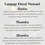 Couverture de Passeport Personnalisée avec Nom et Fleur de Naissance à Langage Floral Optionnel Cadeau Mariage Voyage Anniversarie pour Femme