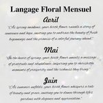 Couverture de Passeport Personnalisée avec Nom et Fleur de Naissance à Langage Floral Optionnel Cadeau Mariage Voyage Anniversarie pour Femme