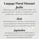 Couverture de Passeport Personnalisée avec Nom et Fleur de Naissance à Langage Floral Optionnel Cadeau Mariage Voyage Anniversarie pour Femme