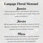 Couverture de Passeport Personnalisée avec Nom et Fleur de Naissance à Langage Floral Optionnel Cadeau Mariage Voyage Anniversarie pour Femme